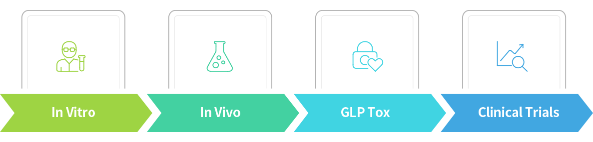 In Vitro → In Vivo → GLP Tox → Clinical Trials