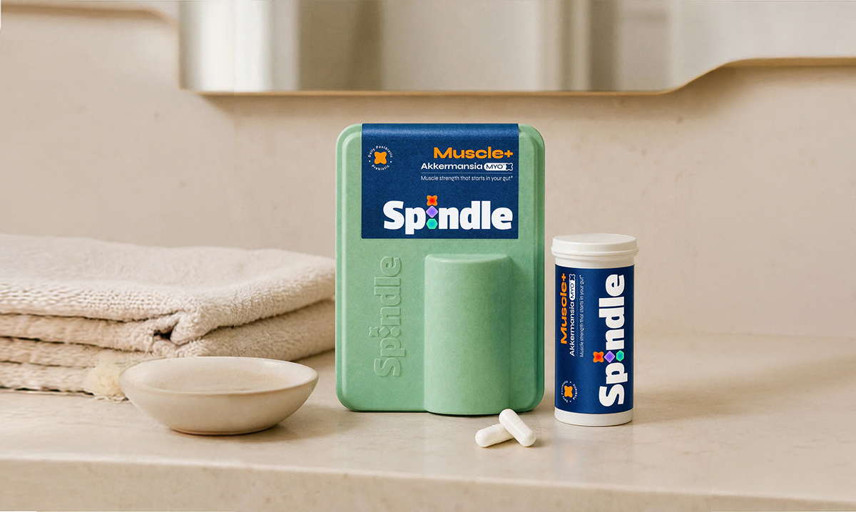 SPINDLE MUSCLE+